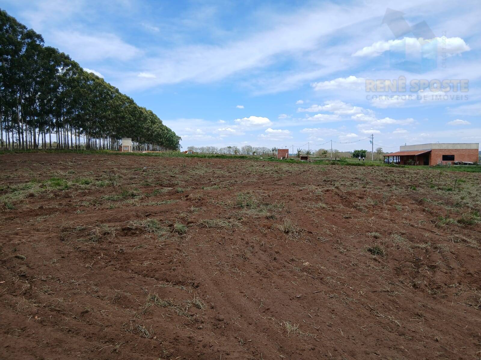 Terreno, 4 hectares - Foto 7