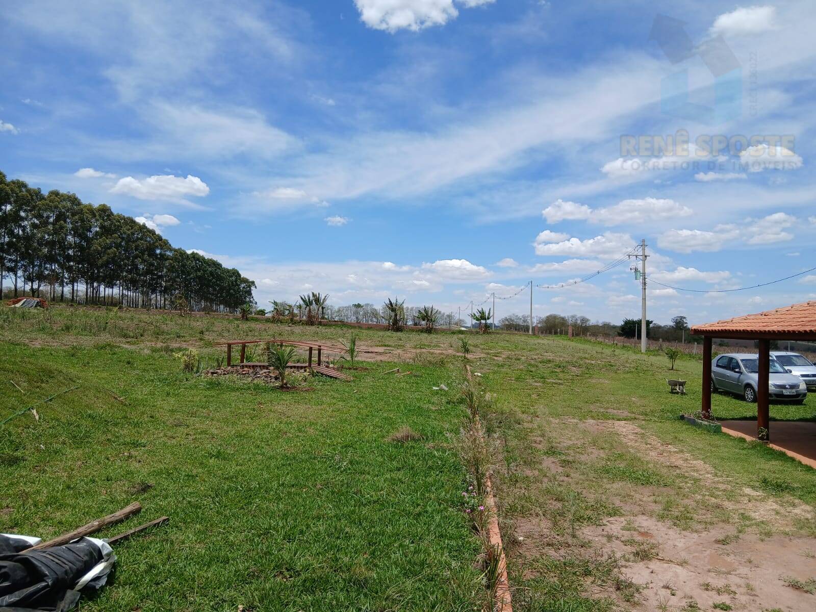 Terreno, 4 hectares - Foto 14