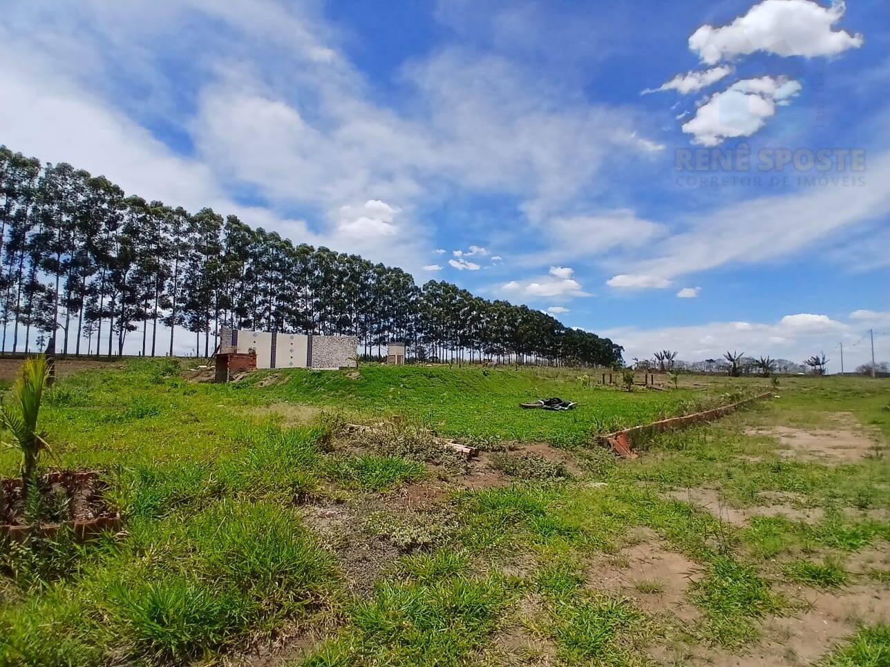 Terreno, 4 hectares - Foto 15