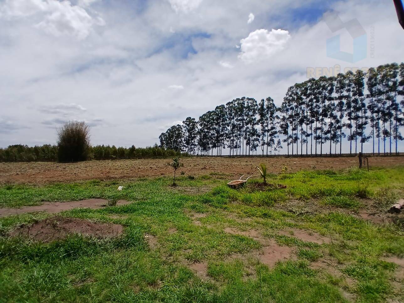 Terreno, 4 hectares - Foto 1