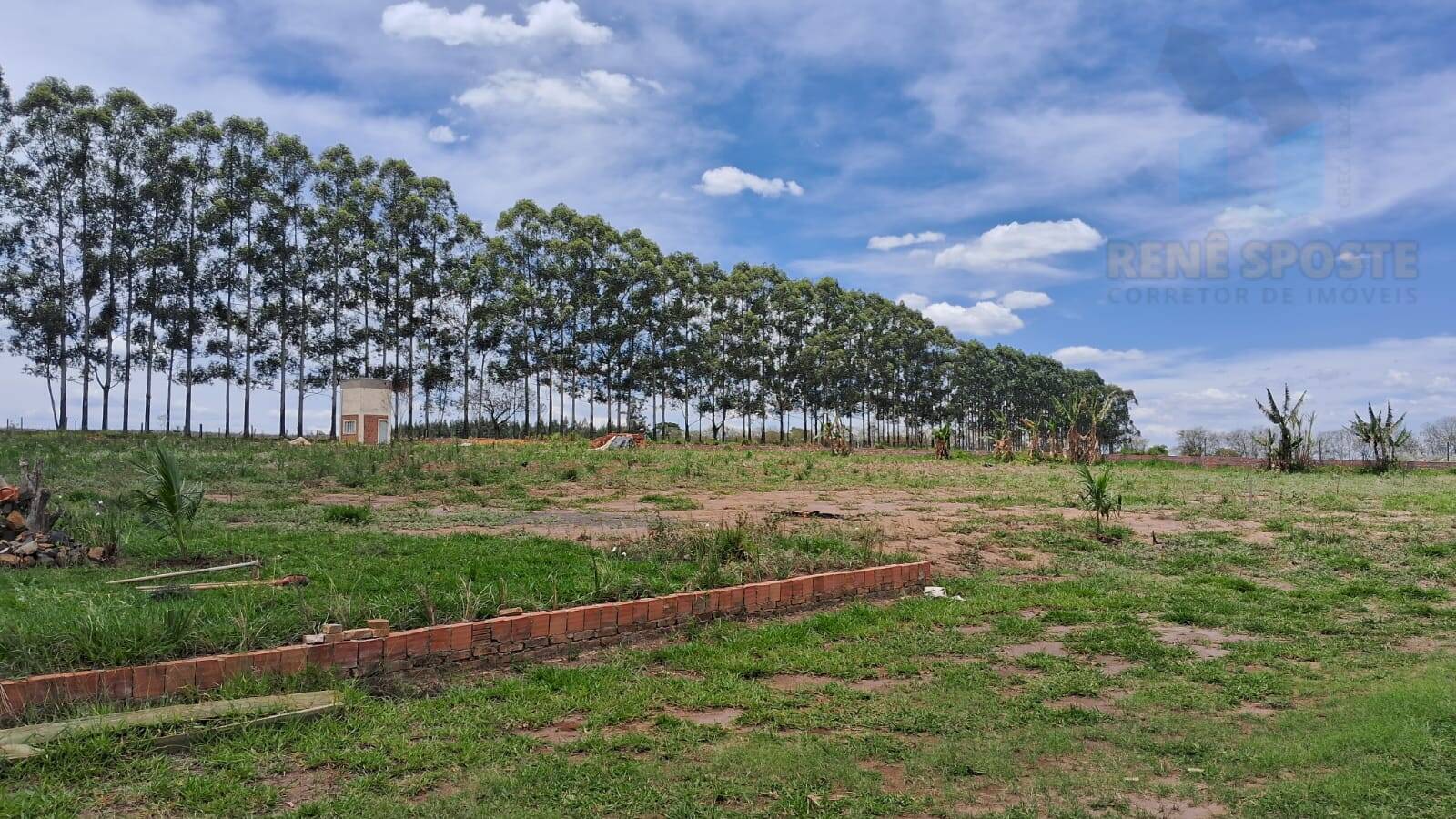 Terreno, 4 hectares - Foto 12