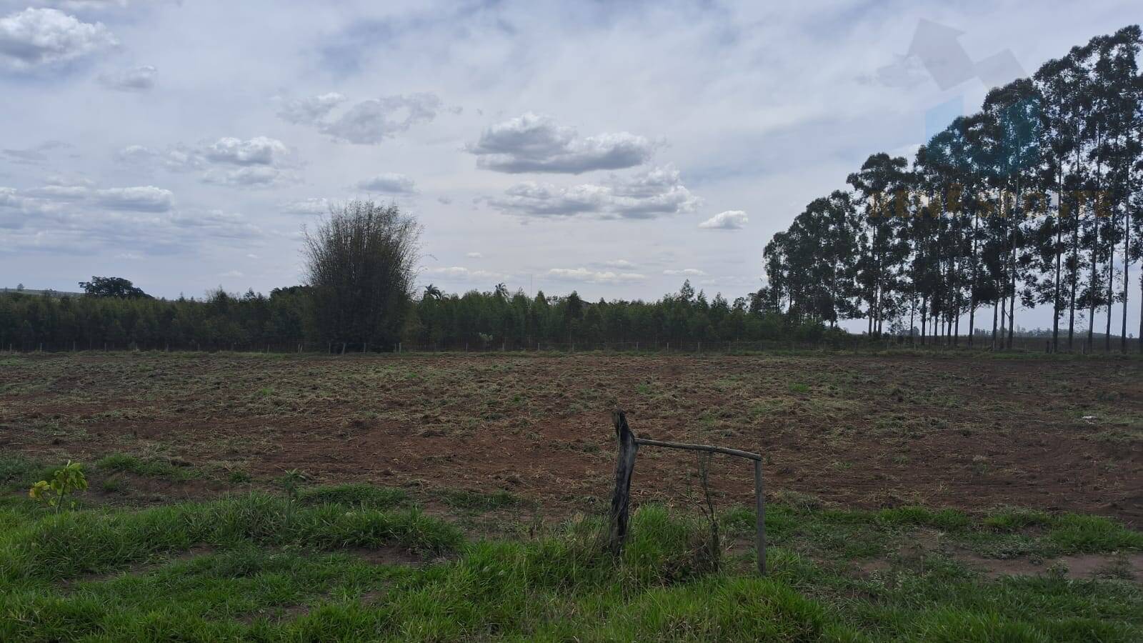 Terreno, 4 hectares - Foto 11