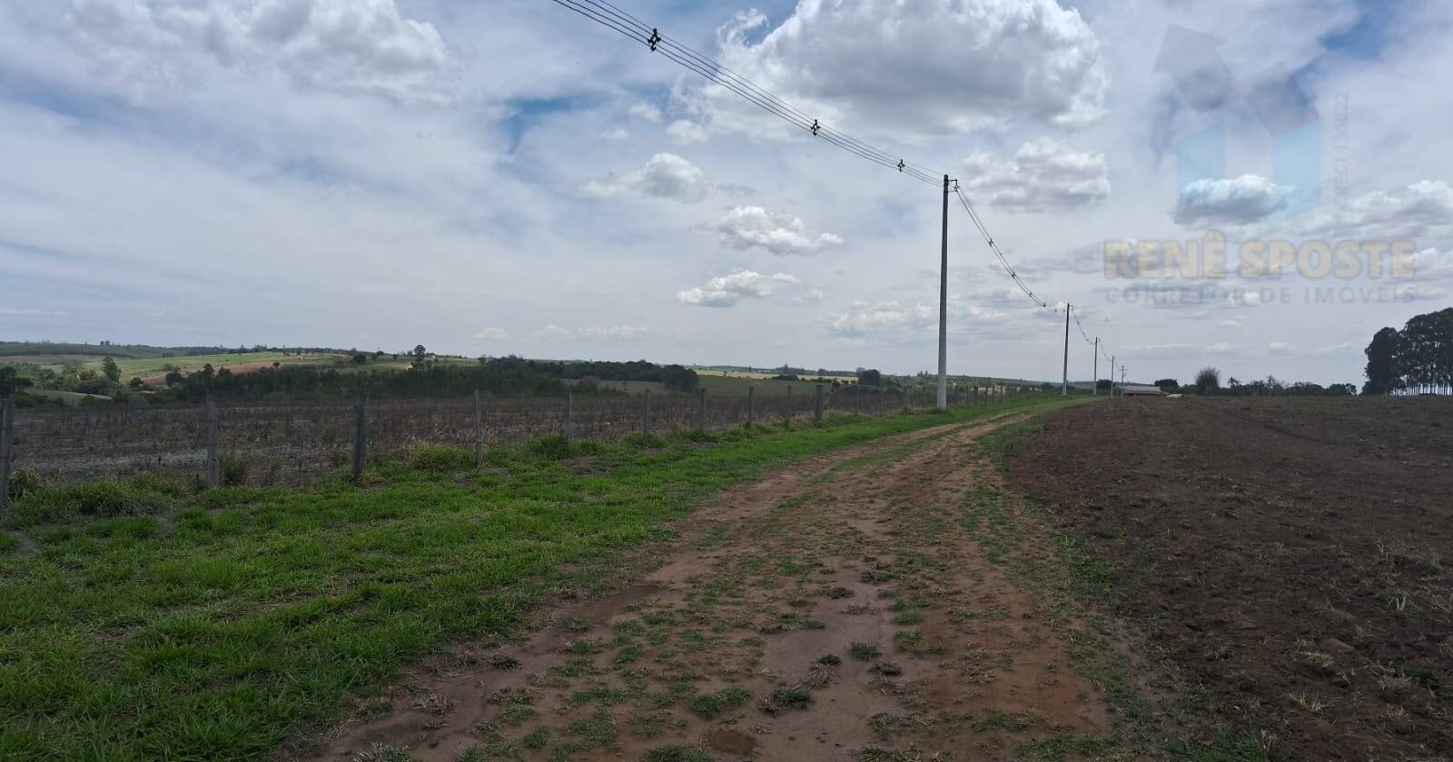 Terreno, 4 hectares - Foto 10