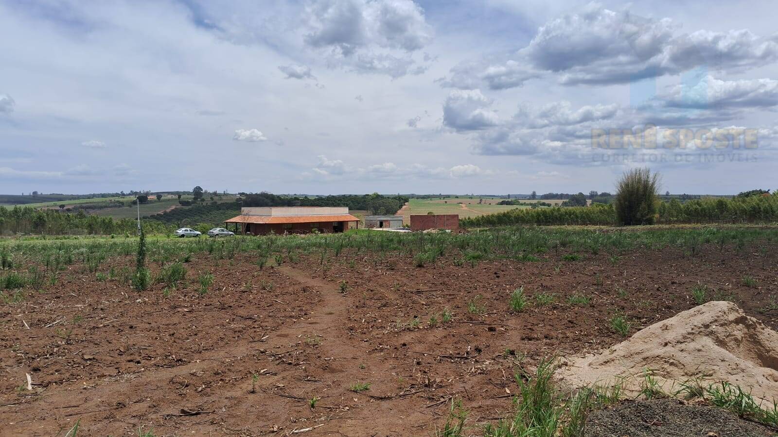 Terreno, 4 hectares - Foto 13