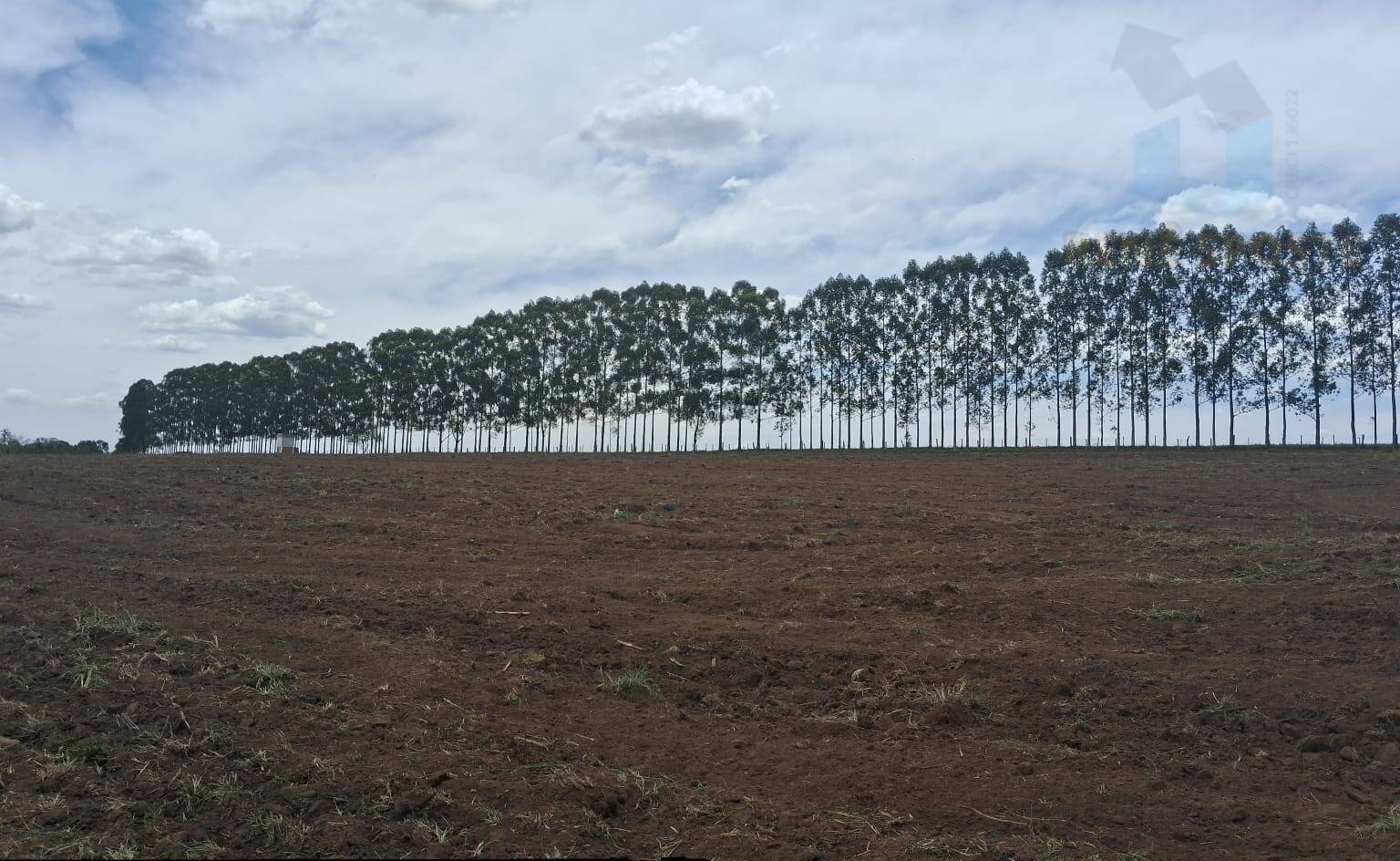 Terreno, 4 hectares - Foto 2