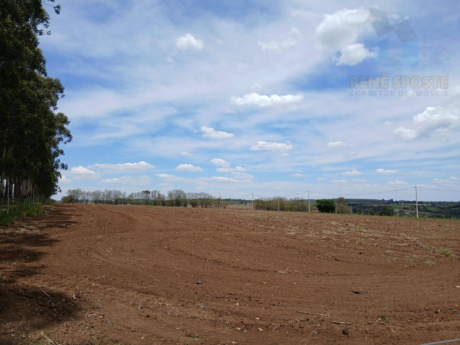 Terreno, 4 hectares - Foto 9