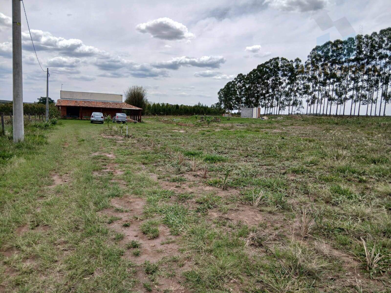 Terreno, 4 hectares - Foto 4