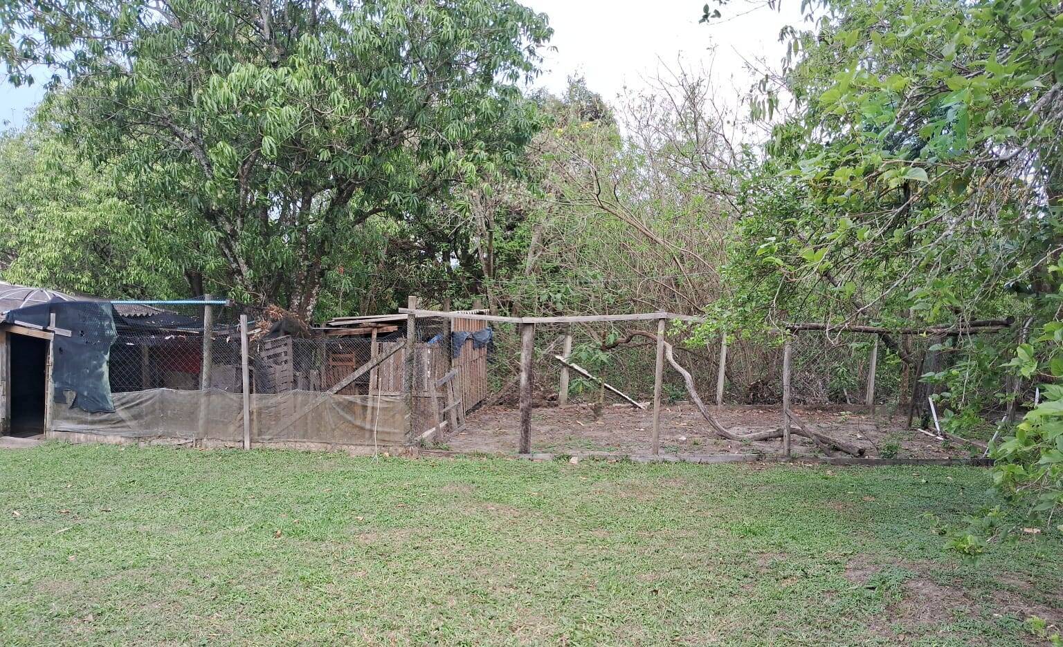 Casa, 5 quartos, 361 m² - Foto 28