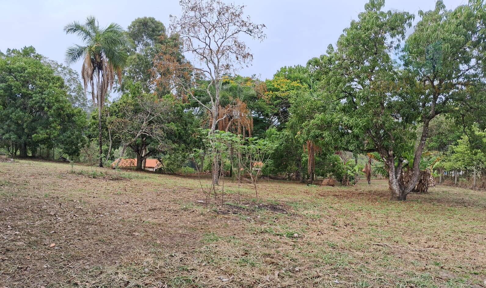 Casa, 5 quartos, 361 m² - Foto 29