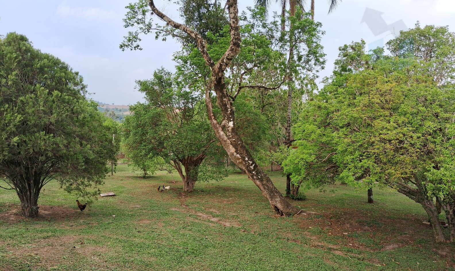 Casa, 5 quartos, 361 m² - Foto 30