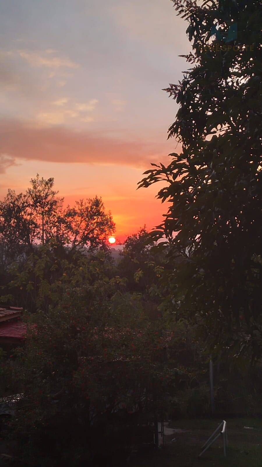 Casa, 5 quartos, 361 m² - Foto 32