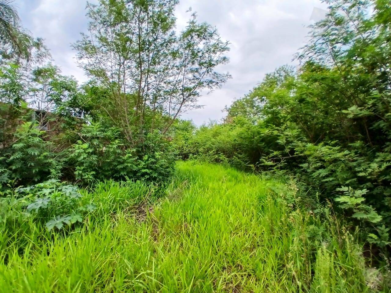 Prédio Inteiro, 428 m² - Foto 10