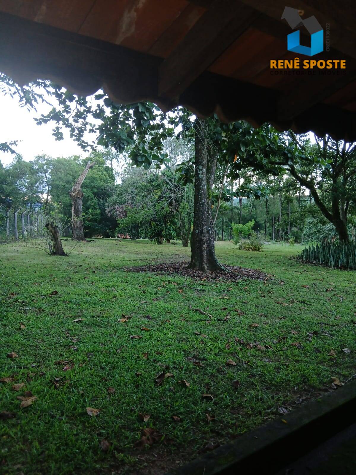 Casa, 5 quartos, 480 m² - Foto 28