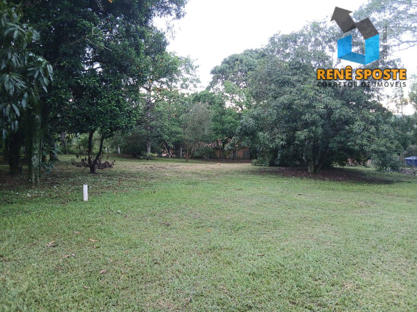 Casa, 5 quartos, 480 m² - Foto 30