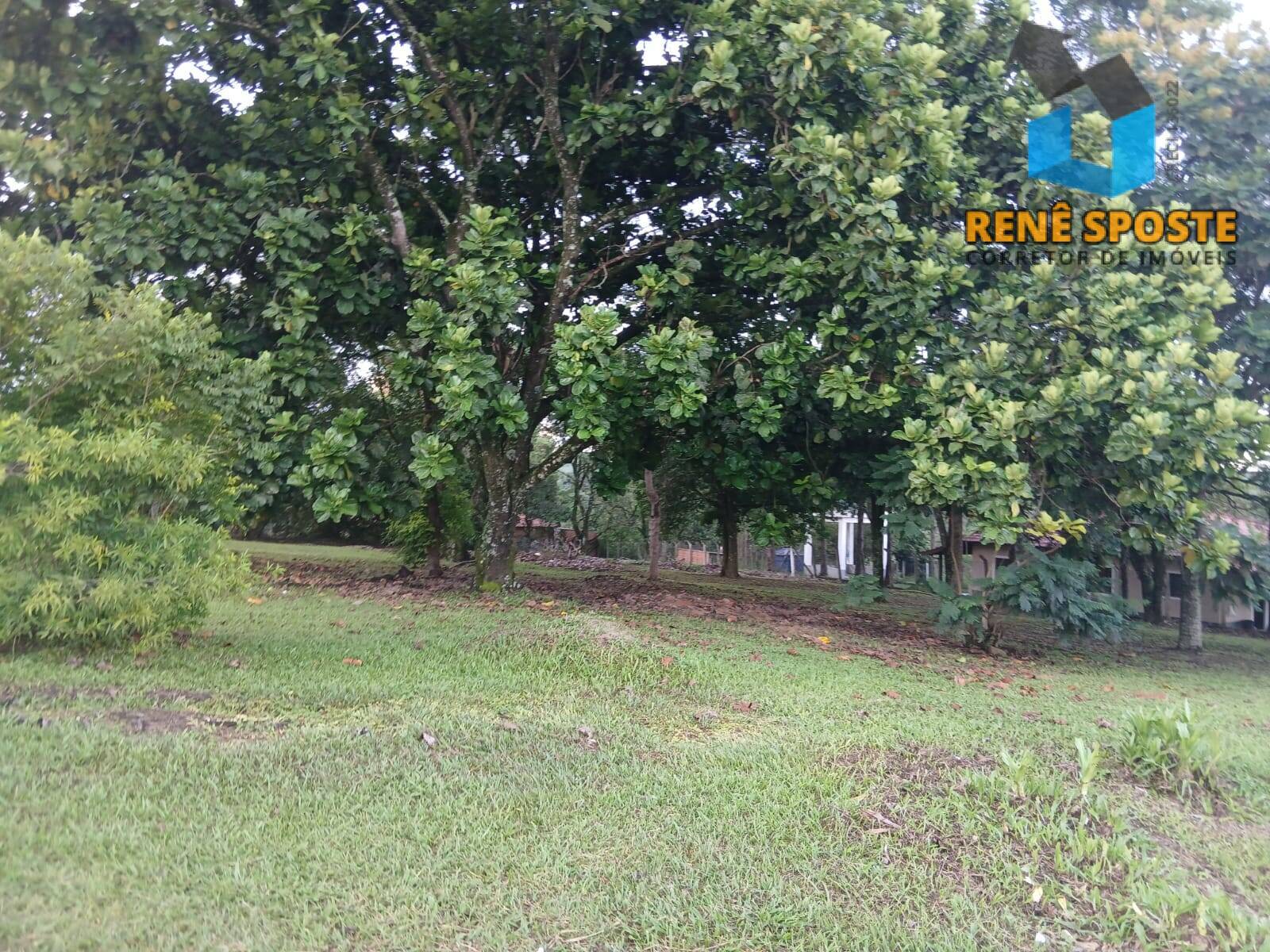 Casa, 5 quartos, 480 m² - Foto 31