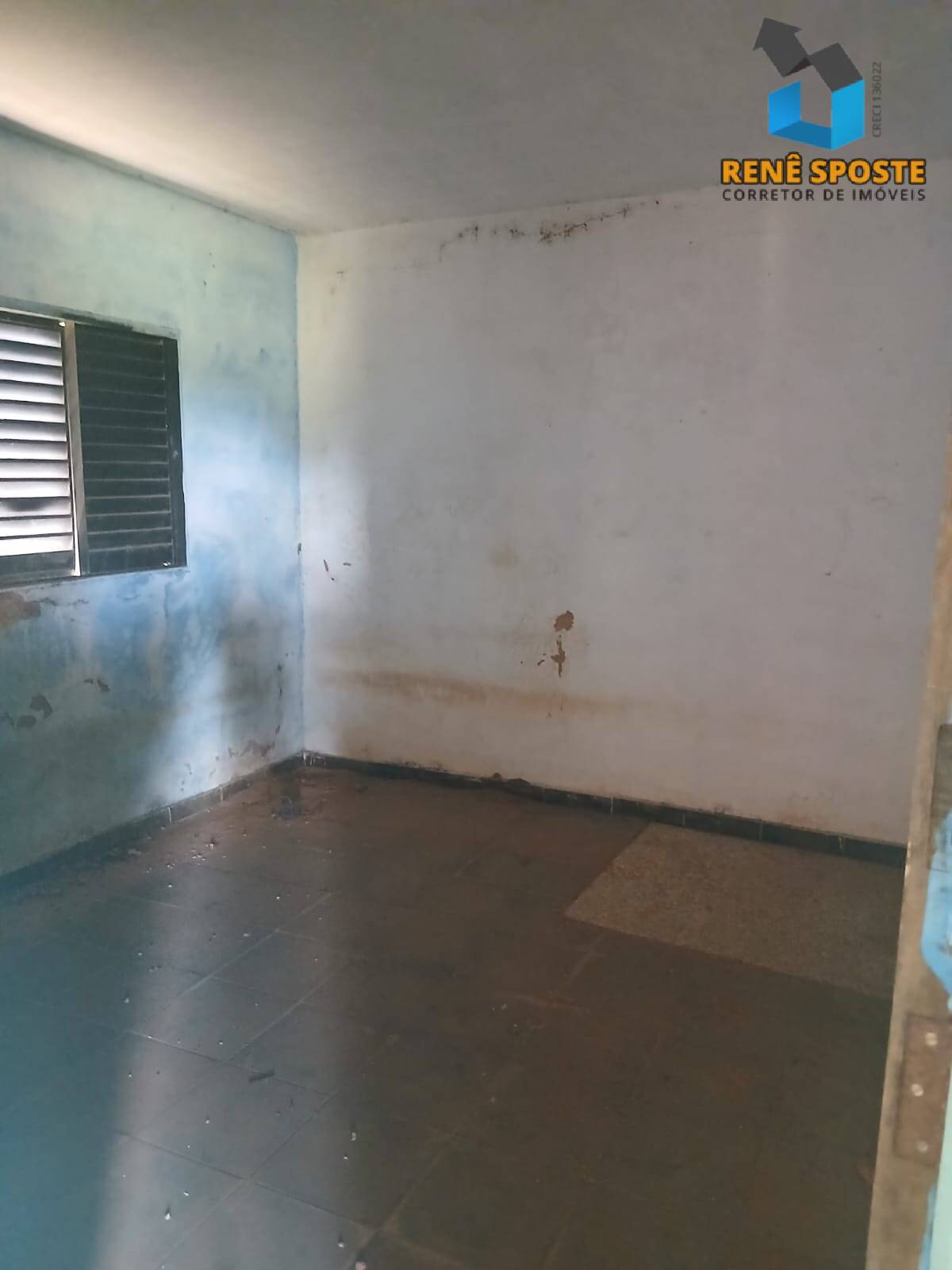 Sítio, 3 quartos, 5560 m² - Foto 10