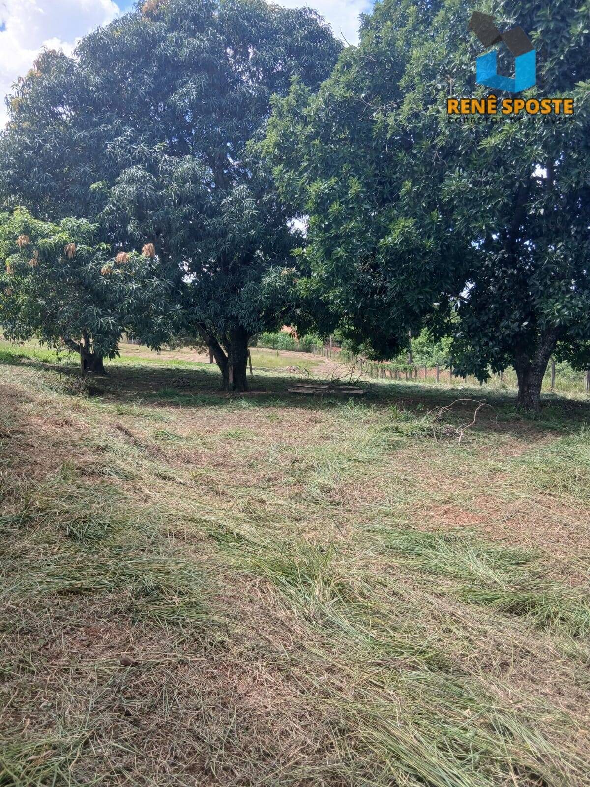 Sítio, 3 quartos, 5560 m² - Foto 25