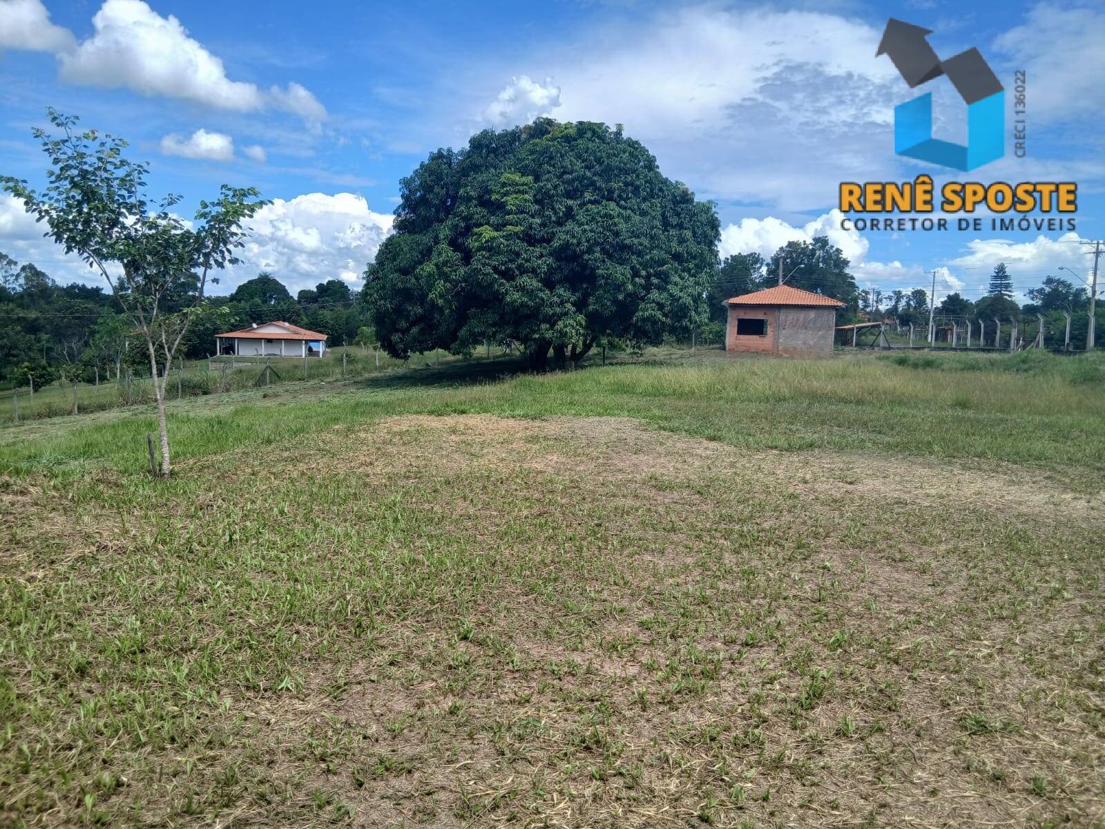 Sítio, 3 quartos, 5560 m² - Foto 17