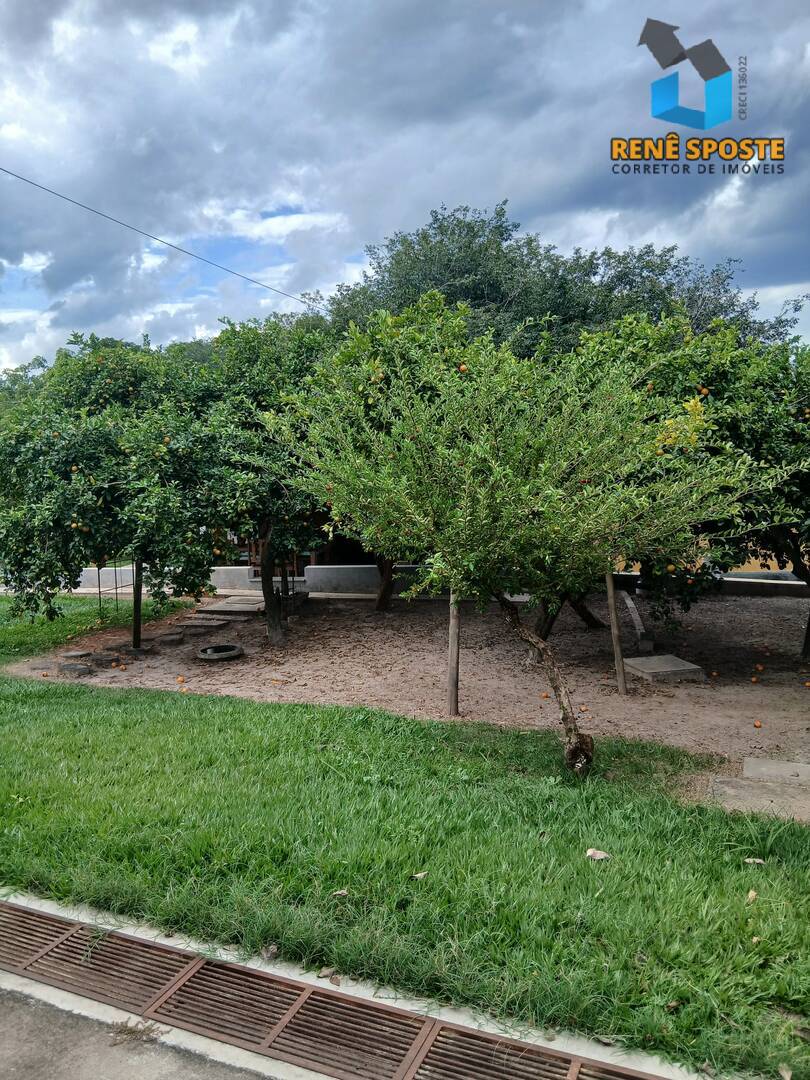 Casa, 4 quartos, 398 m² - Foto 25