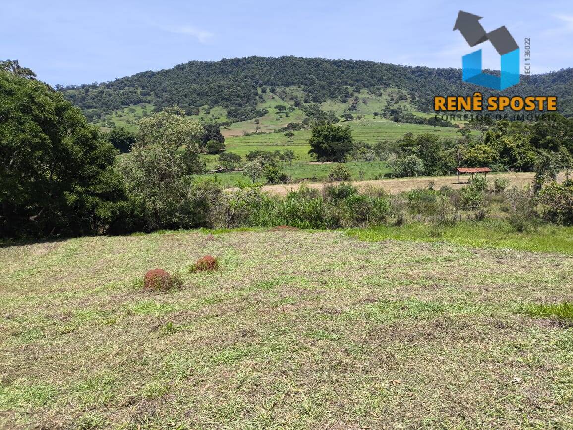 Terreno, 6000 m² - Foto 3