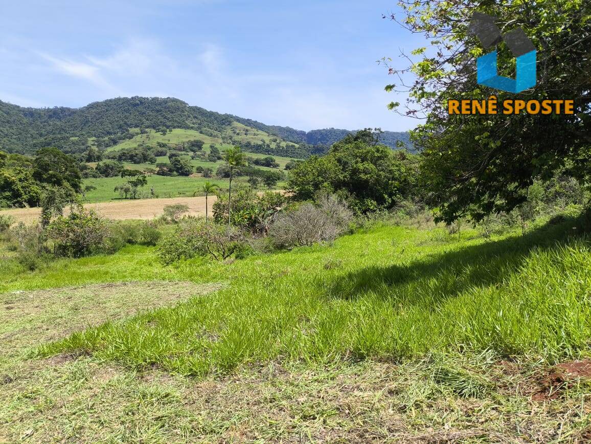 Terreno, 6000 m² - Foto 5
