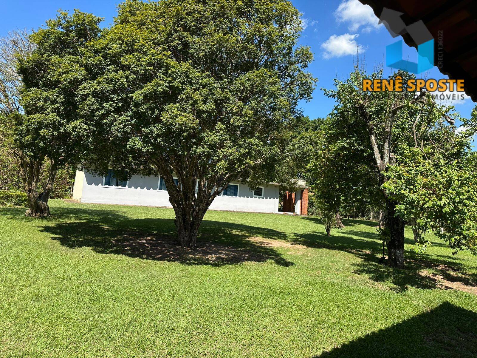 Sítio, 4 quartos, 5439 m² - Foto 12