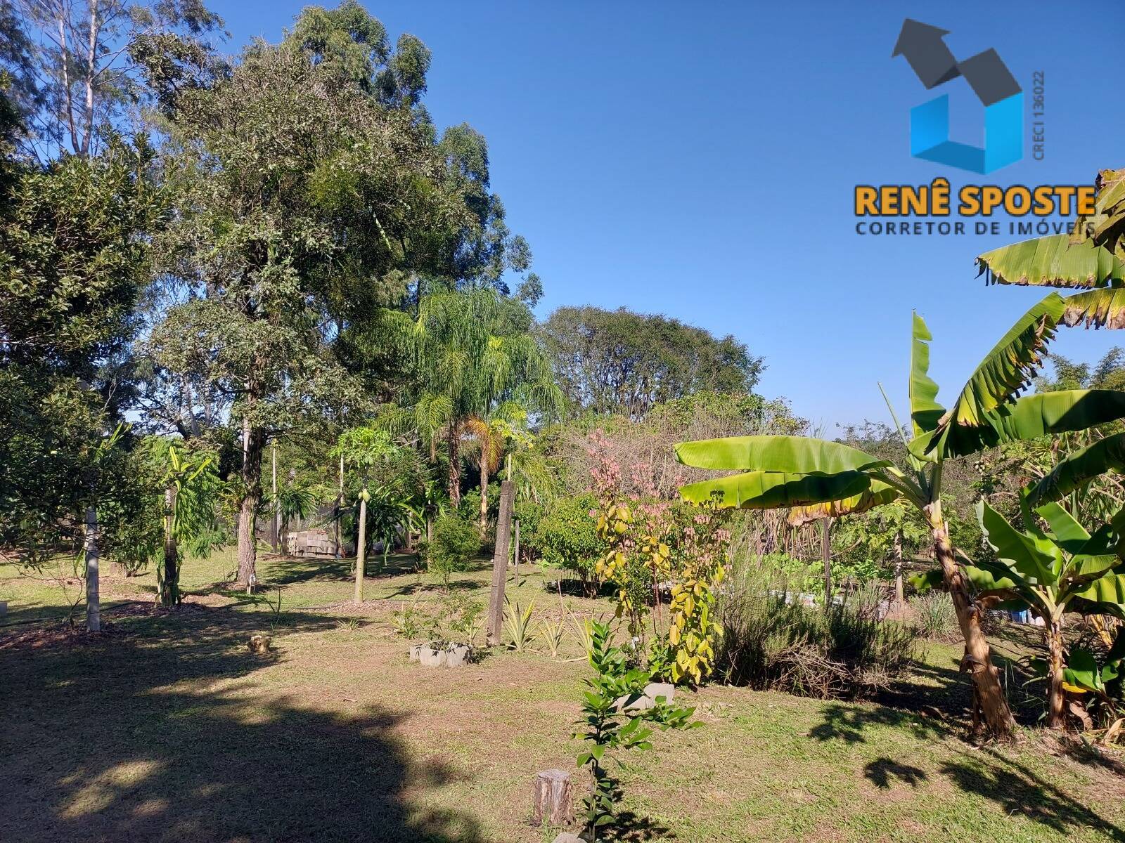 Chácara, 5 quartos, 5600 m² - Foto 13