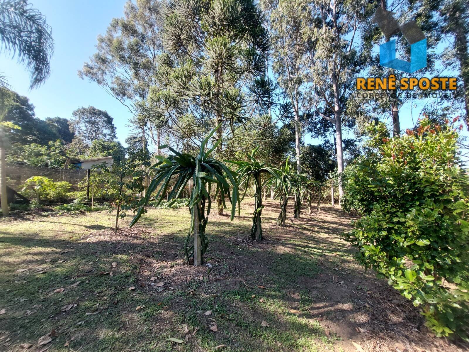 Chácara, 5 quartos, 5600 m² - Foto 20