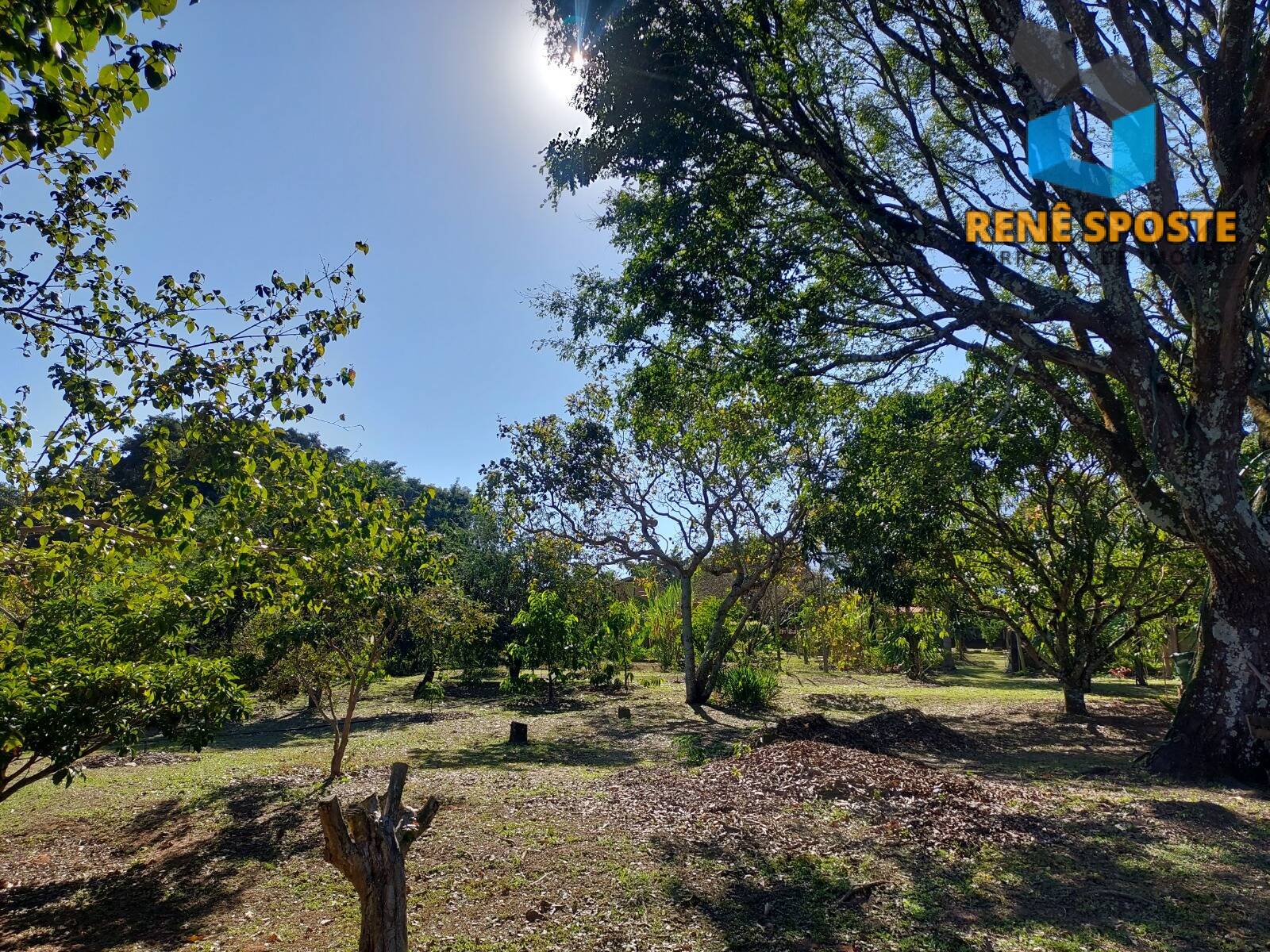 Chácara, 5 quartos, 5600 m² - Foto 22