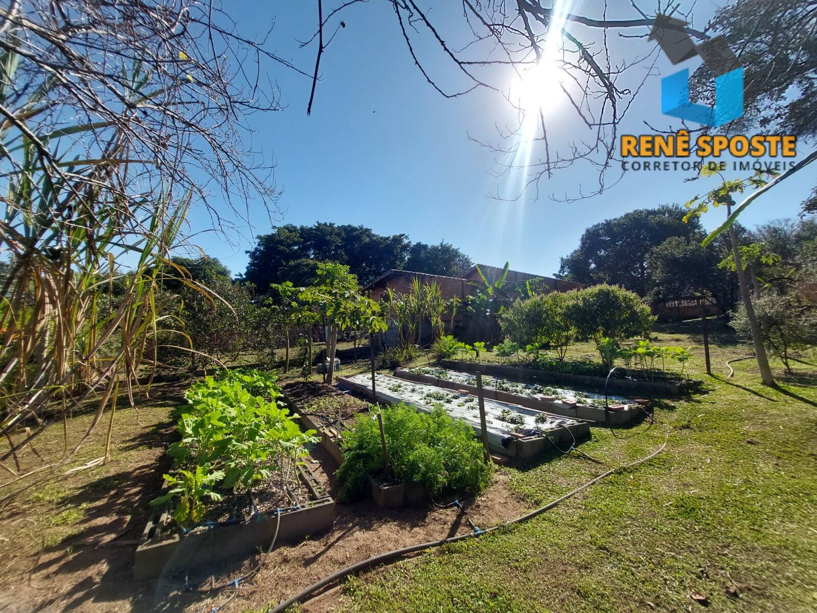 Chácara, 5 quartos, 5600 m² - Foto 23