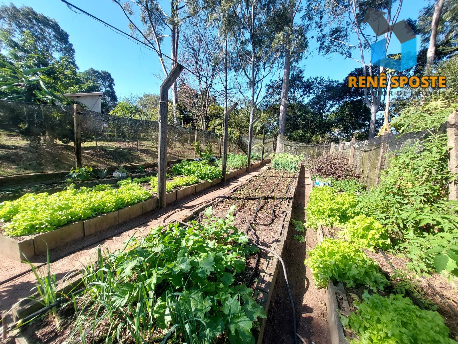 Chácara, 5 quartos, 5600 m² - Foto 24