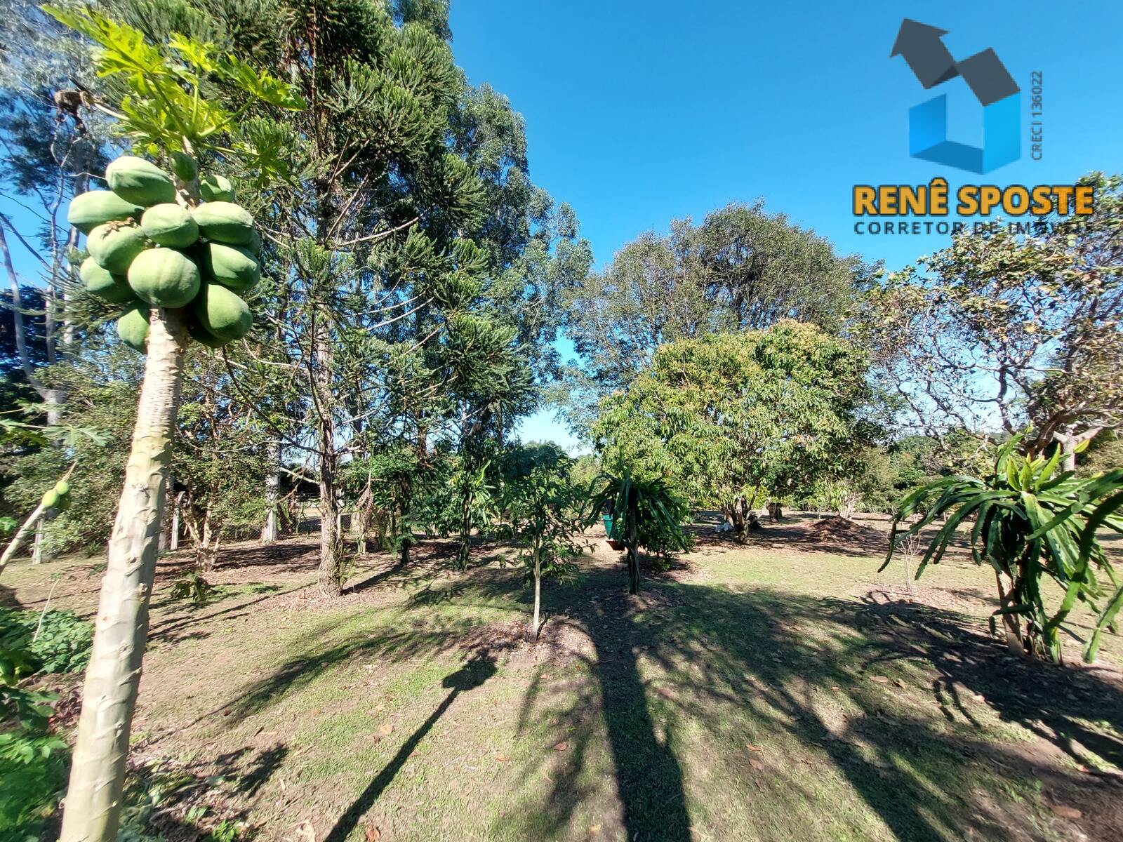 Chácara, 5 quartos, 5600 m² - Foto 28