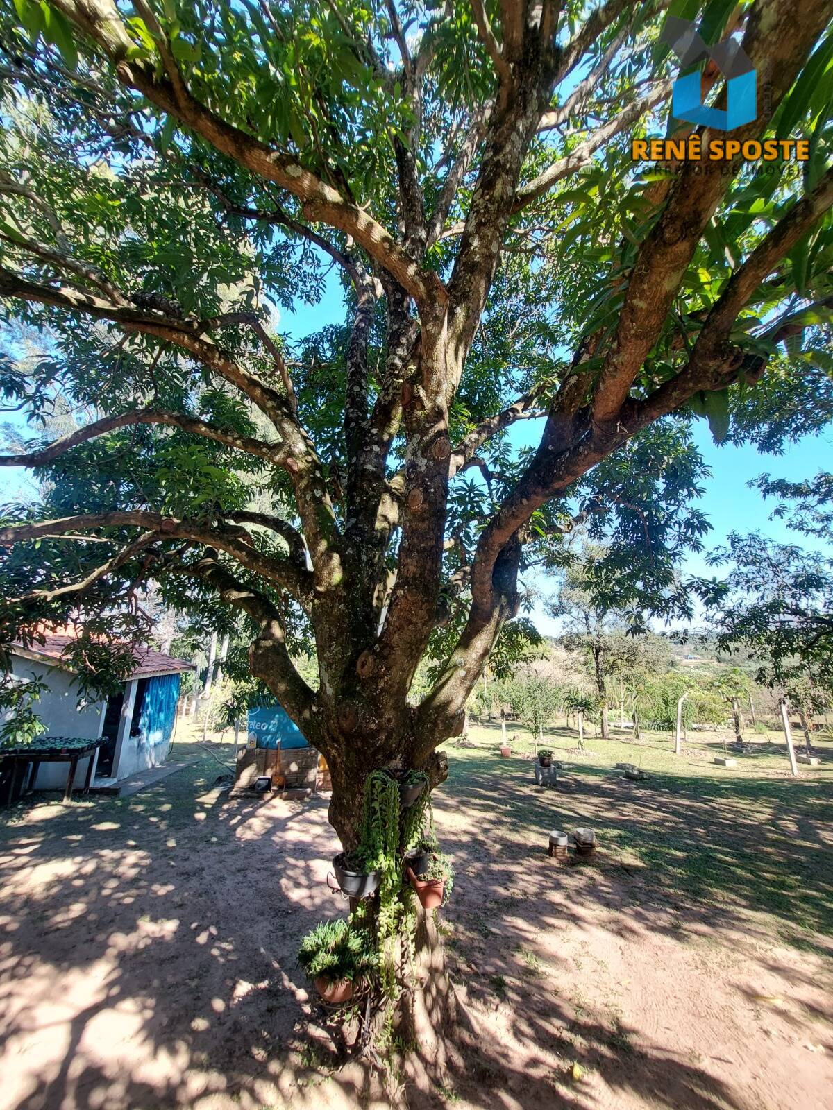 Chácara, 5 quartos, 5600 m² - Foto 21