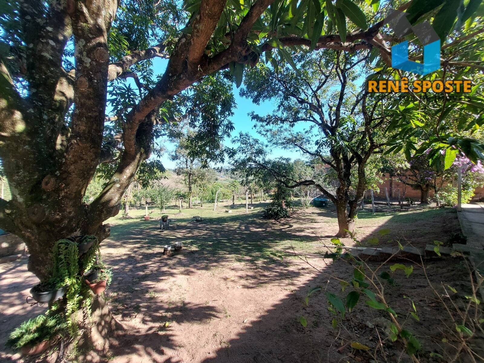 Chácara, 5 quartos, 5600 m² - Foto 32