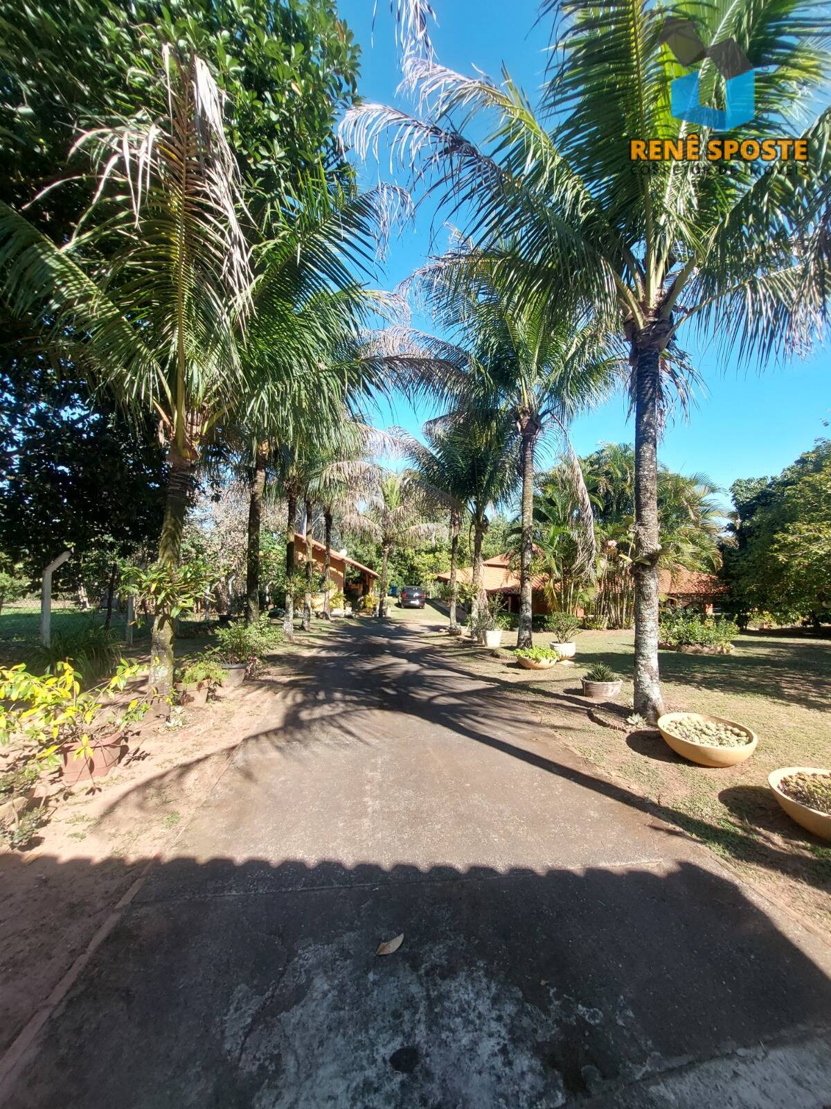 Chácara, 5 quartos, 5600 m² - Foto 34
