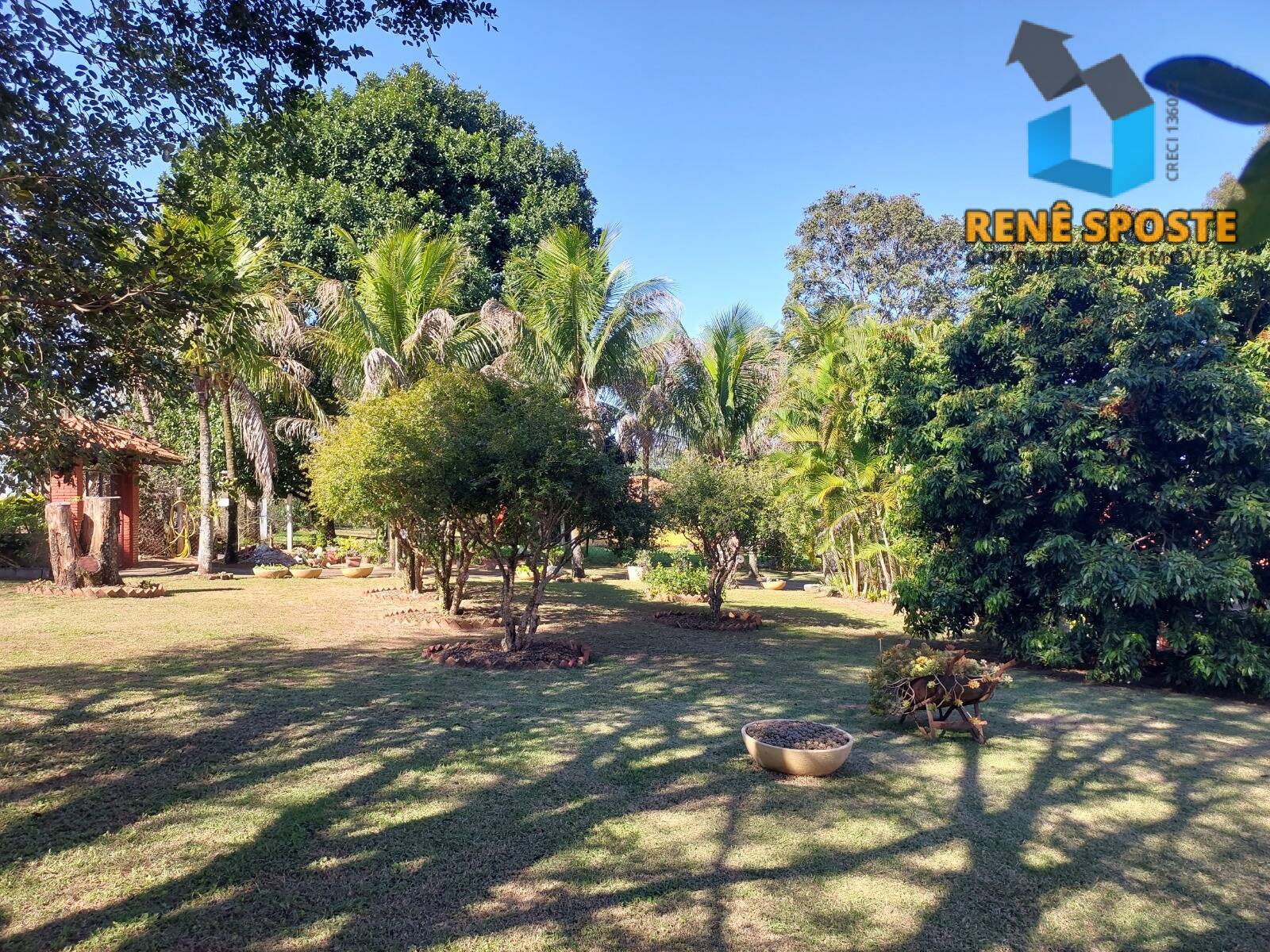 Chácara, 5 quartos, 5600 m² - Foto 35
